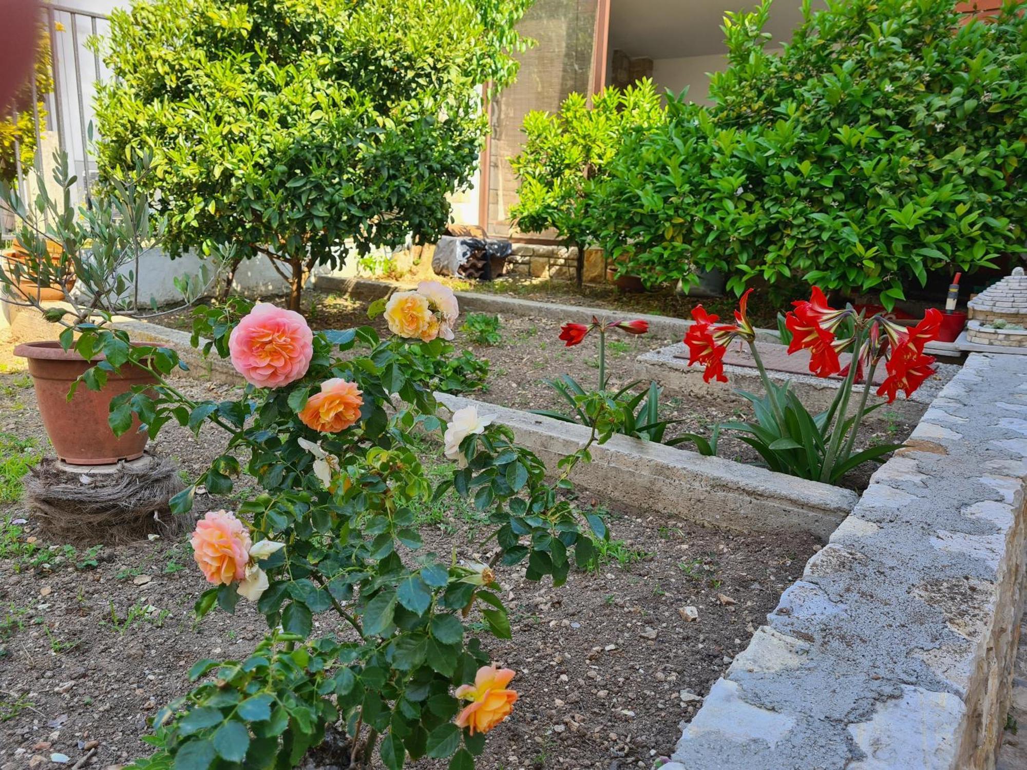 Apartamento Steffi Premantura