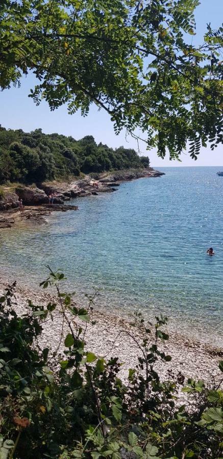 Apartamento Steffi Premantura